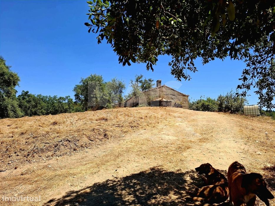 Herdade com 73,7 h em Relíquias, Odemira