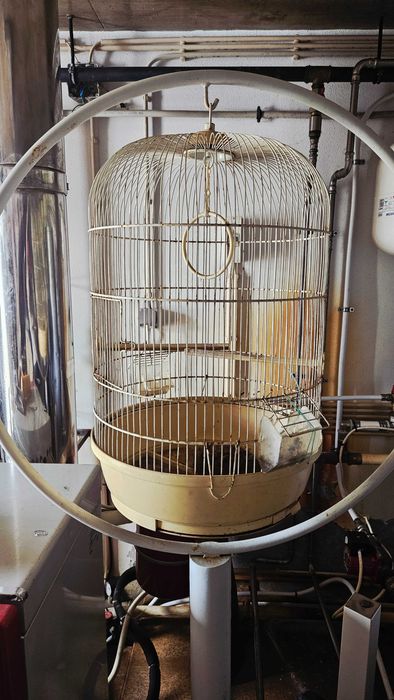 Gaiola alta vintage