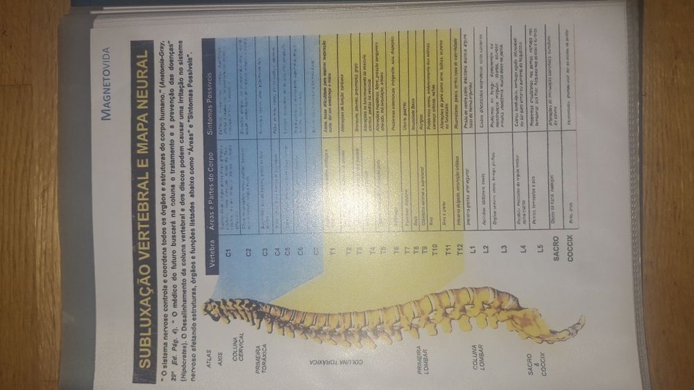 Magnetoterapia (Magneto Energy ME 2200)