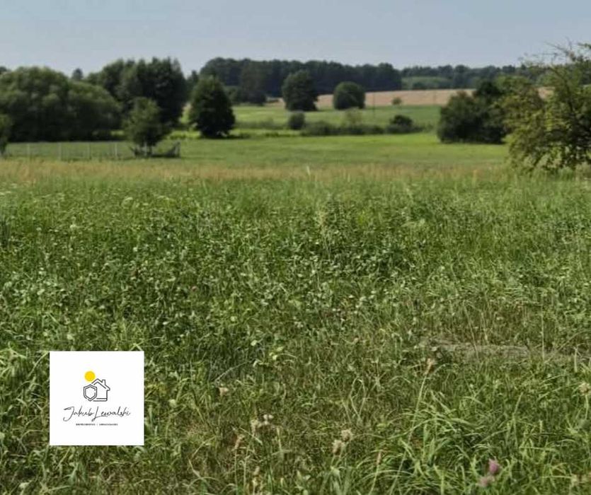 Malowniczo położona działka - Płosków gm. Sarnaki - Widok 2