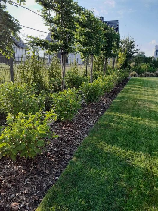 Usługi ogrodnicze i porządkowe