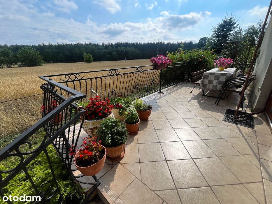 Dom przy lesie 193m2 działka 3050m2 Magonie