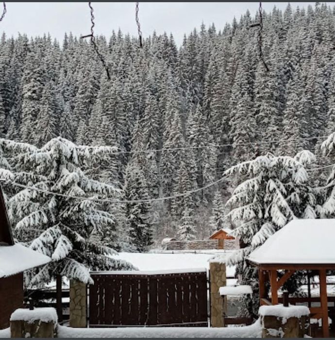 Відпочинок Табори Туристичні групи Котедж Кімнати Поляниця(Буковель)