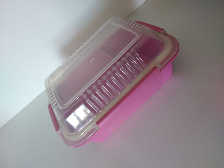 Two-compartment Tupperware lunchbox.441133393480273924