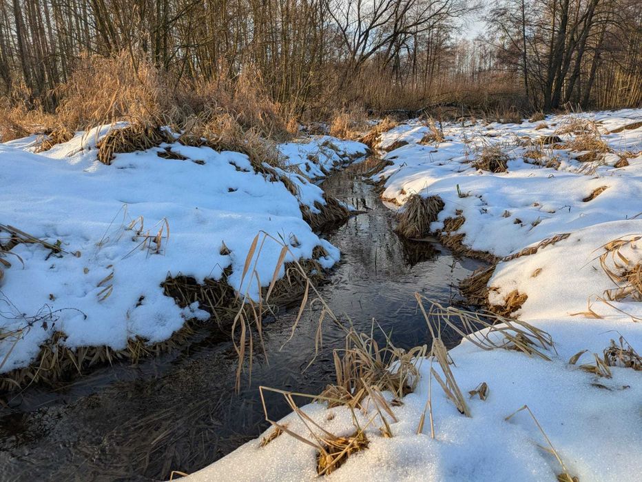 Warunki Zabudowy działka koło lasów strumień Ostrówka Kazanów Zwoleń