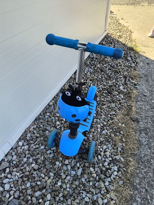 Hulajnoga niebieska biedronka