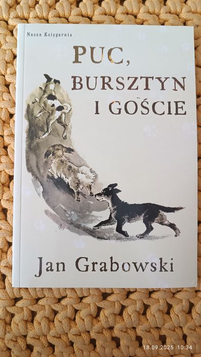 Sprzedam książkę pt. Puc, bursztyn i goście