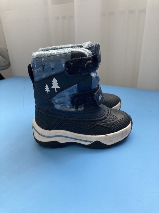 Śniegowce lupilu, rozmiar 21