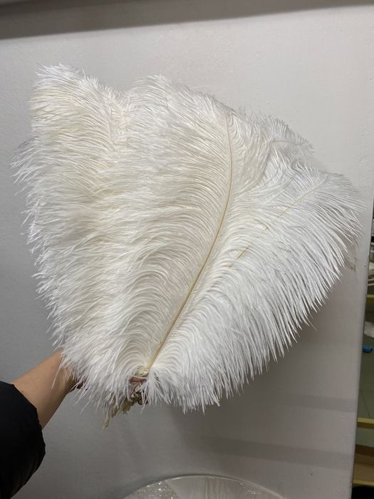 Pióra strusie naturalne czarne 40cm-50cm