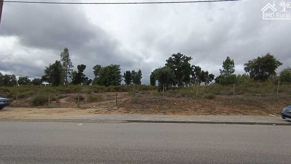 Quinta em Santarém (16,165HA)