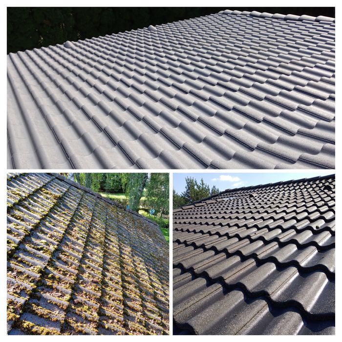 Mycie/Malowanie dachów, elewacji