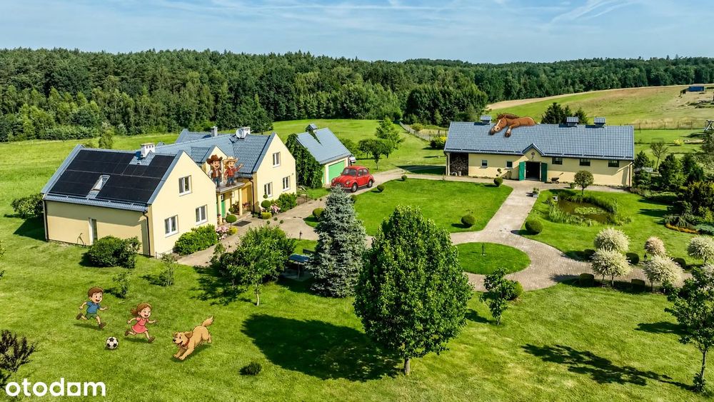 5 ha łąk i lasu, dom ze stajnią na wsi blisko Trójmiasta