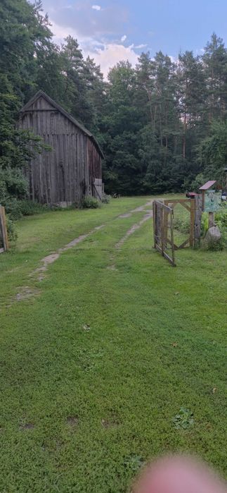 Domek letniskowy nad jeziorem Nidzkim