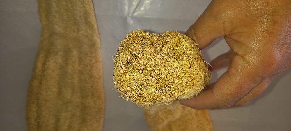 ESPONJAS Naturais do Mar Egeu