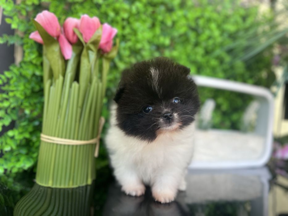 Хлопчик Супер міні