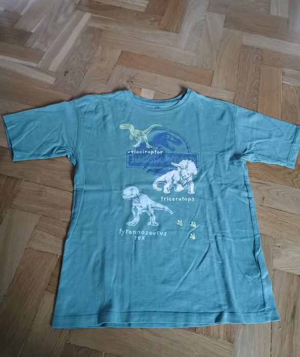Tshirt  dinozaury