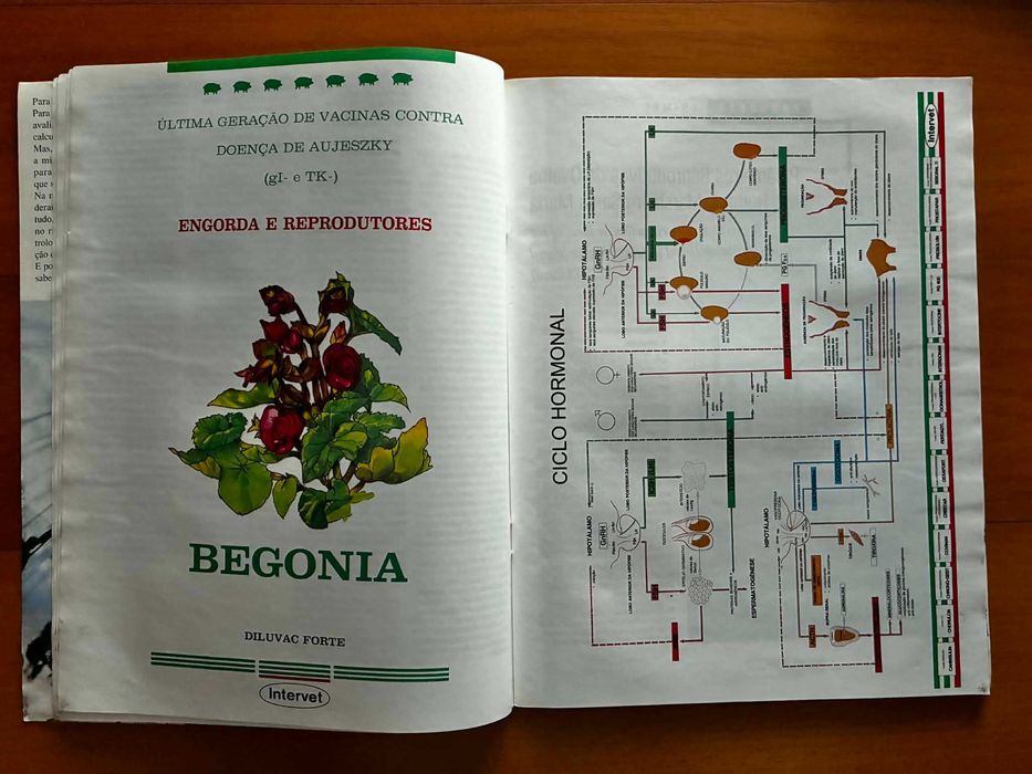 Revista Veterinária Técnica Dez.1995