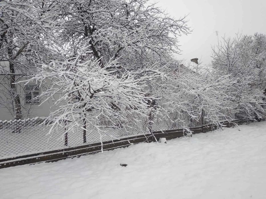 Продаж будинку та земельної ділянки 50 соток, місто Берестечко