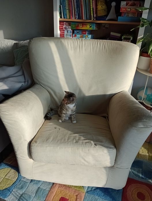Duży fotel Ikea za darmo