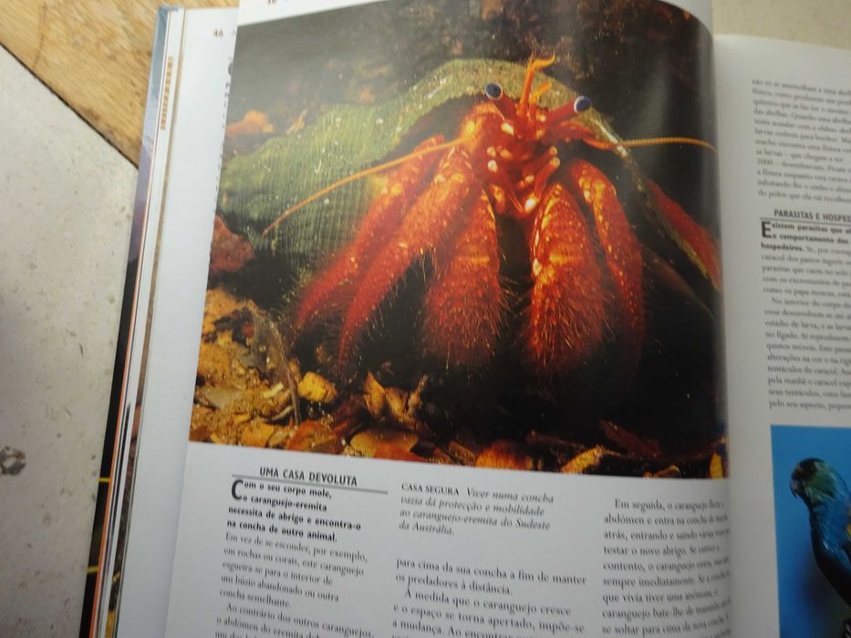 1.001 Maravilhas da Natureza