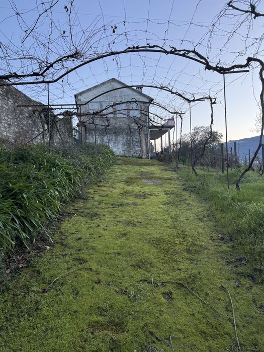 Quinta Douro Cambres N226
