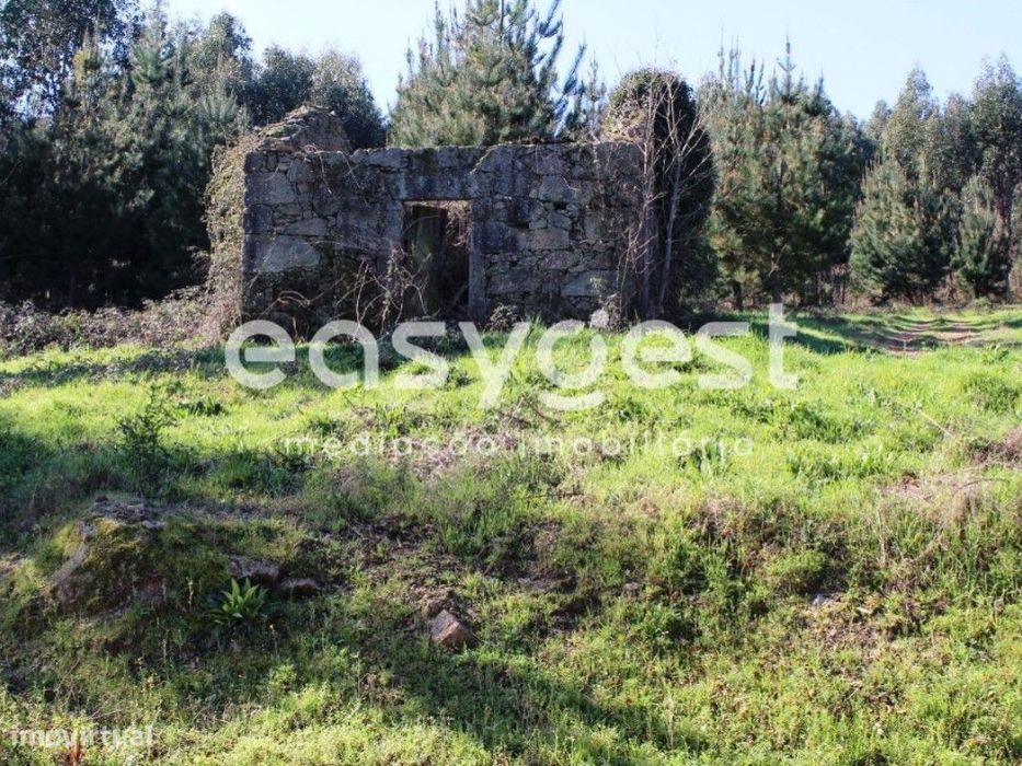 Terreno com 38.220 m2 - Couto de Cima