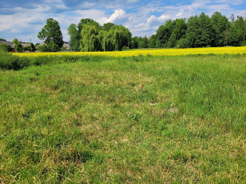 sprzedam działkę w Poniatowicach