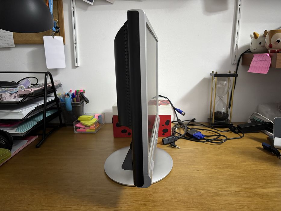 Monitor Tarda Visinary 19’