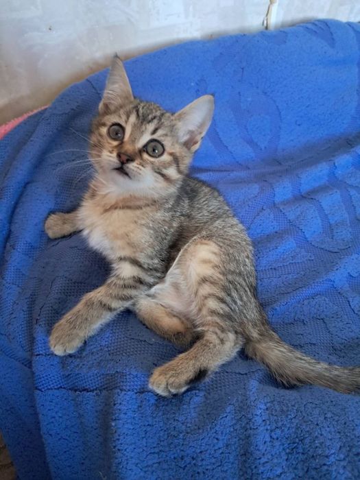 Маленькая радость