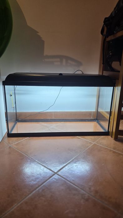 Aquário 100L ( filtros e todo o material)
