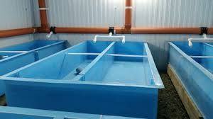 Басейни для риби,раків,криветок, аератори, компресори, УФ лампи знезар