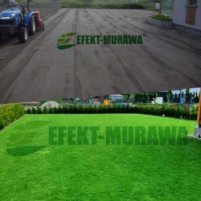 Trawniki ogrody trawa z rolki trawnik w rolkach usługi ogrodnicze