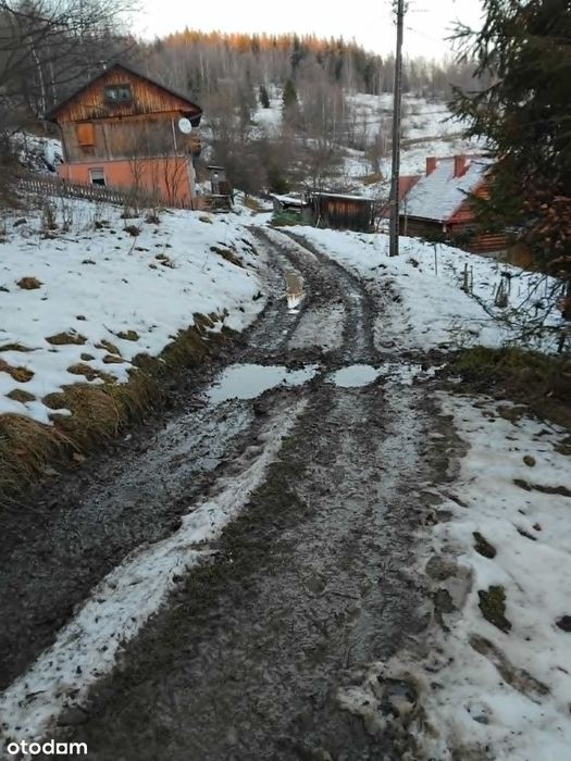 Sprzedaż gospodarstwa z widokiem na Babią Górę – ok. 2,5 ha - Widok 3