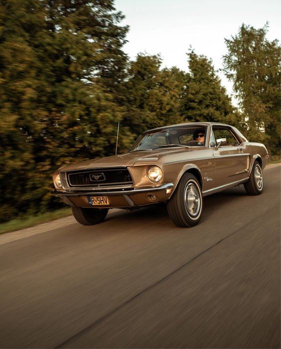 Mustangiem do Ślubu, samochód do ślubu Mustang