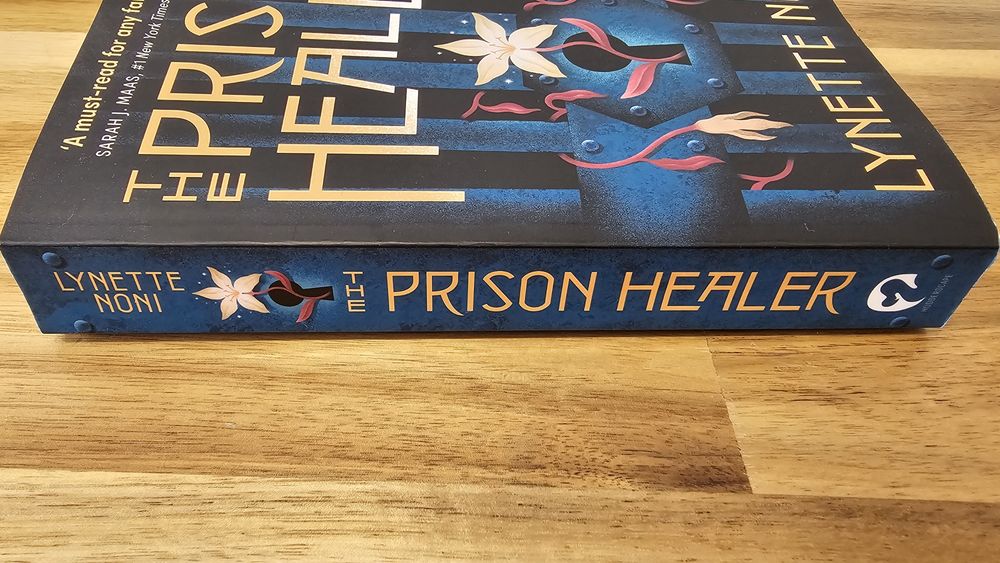 Livro 'The Prision Healer' - Inglês