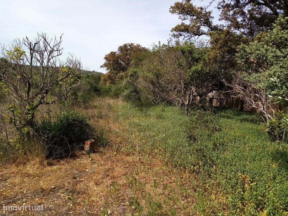 Terreno Rustico com 11 136m2, Loulé, Algarve
