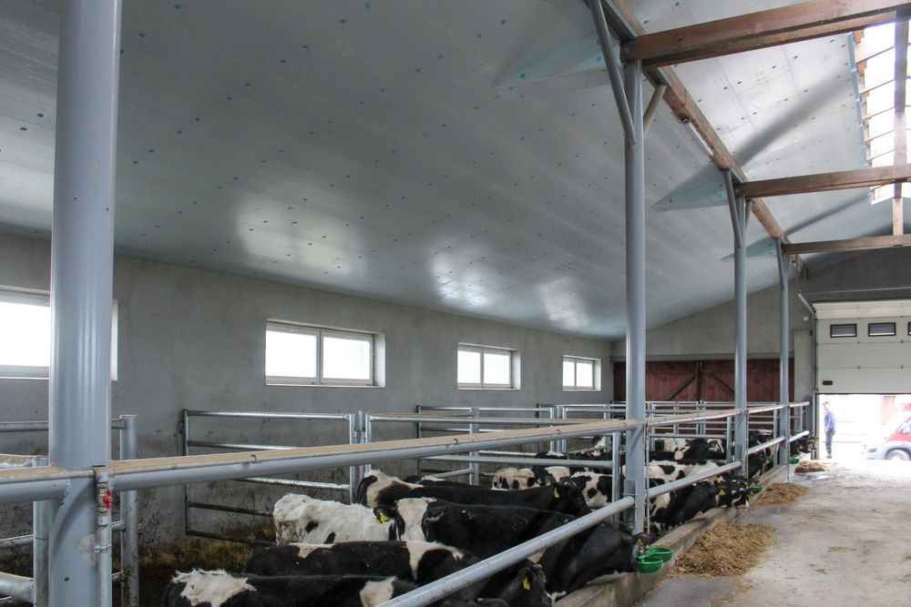 Płyta Ocieplająca Docieplająca Izolująca Styrodur XPS AGRO Do Obory