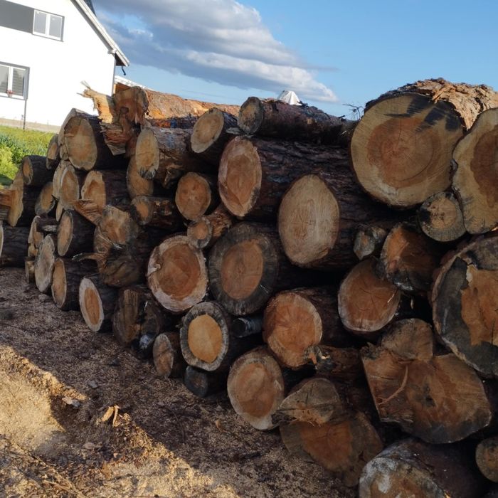 Opał sosnowy łupany