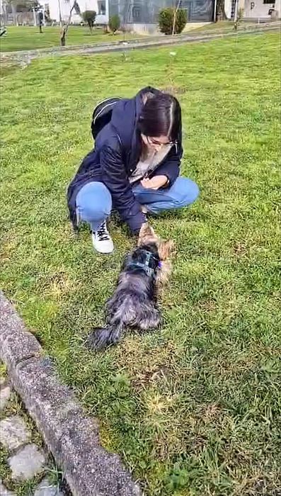 Treino de cães e Comportamento Canino certificado- Enfermeira Veterinária