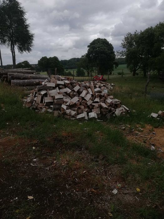 Drewno kominkowe buk dąb brzoza oraz świerk i sosna
