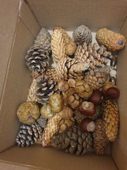 Материал для поделок