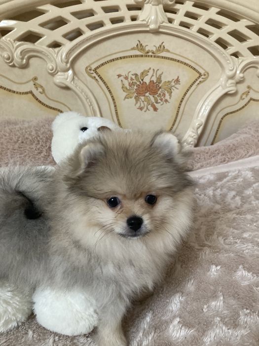 Супер мальчик пом