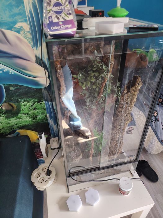 Terarium dla gekona ożeśowego