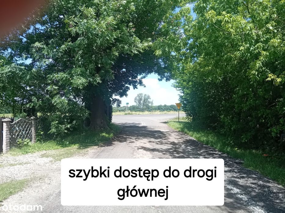 Działka budowlana pod Oleśnicą - Więcej