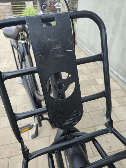 Holenderka Cortina L4