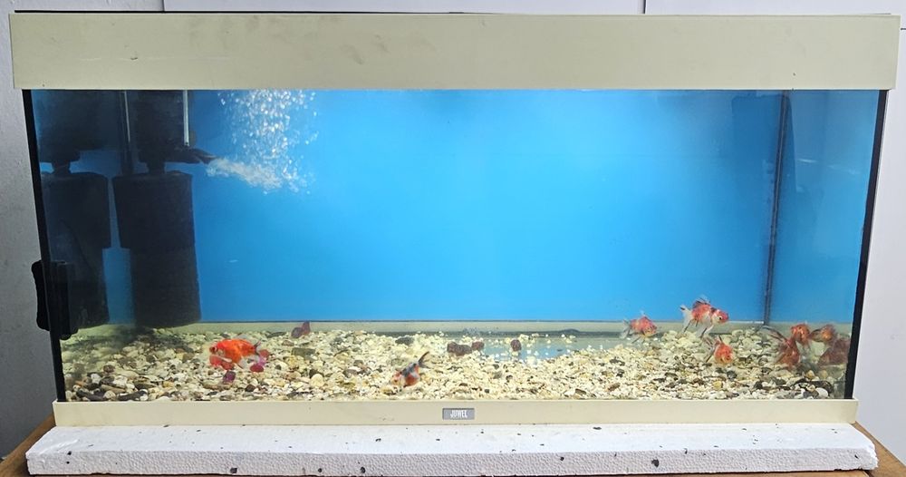 Akwarium 200l  z pokrywa
