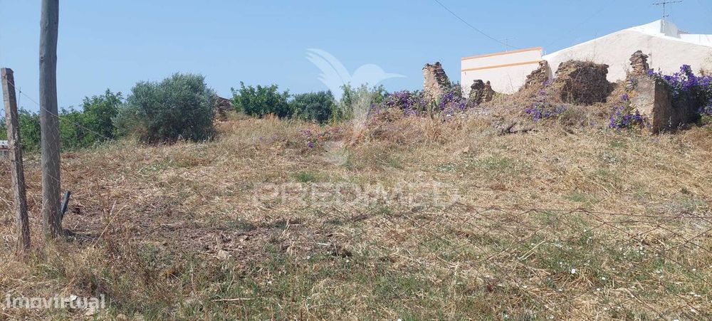 Ruína com Terreno junto da Ria Formosa