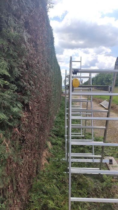 Wycinka drzew, rębak. Żywopłoty. Frezowanie pni. Usługi ogrodnicze.