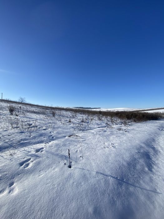 Продам земельну ділянку