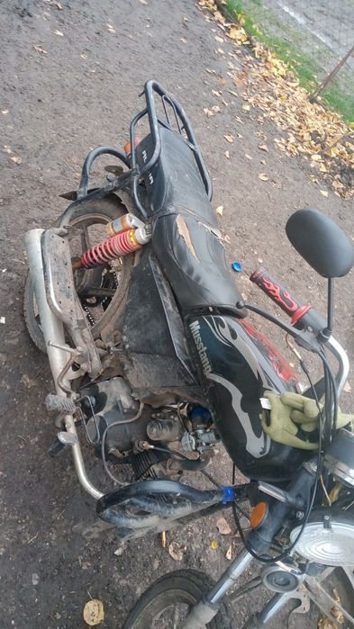 Альфа на повному ходу